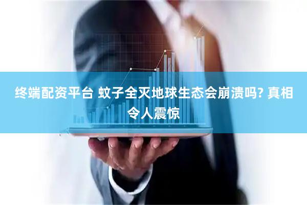 终端配资平台 蚊子全灭地球生态会崩溃吗? 真相令人震惊